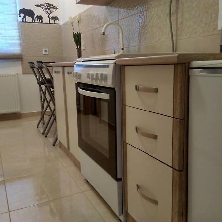 Studio Apartman Zdral Daruvár Kültér fotó