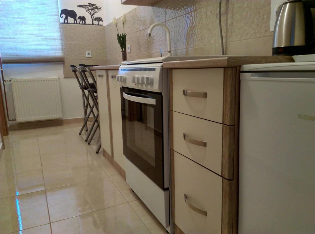 Studio Apartman Zdral Daruvár Kültér fotó