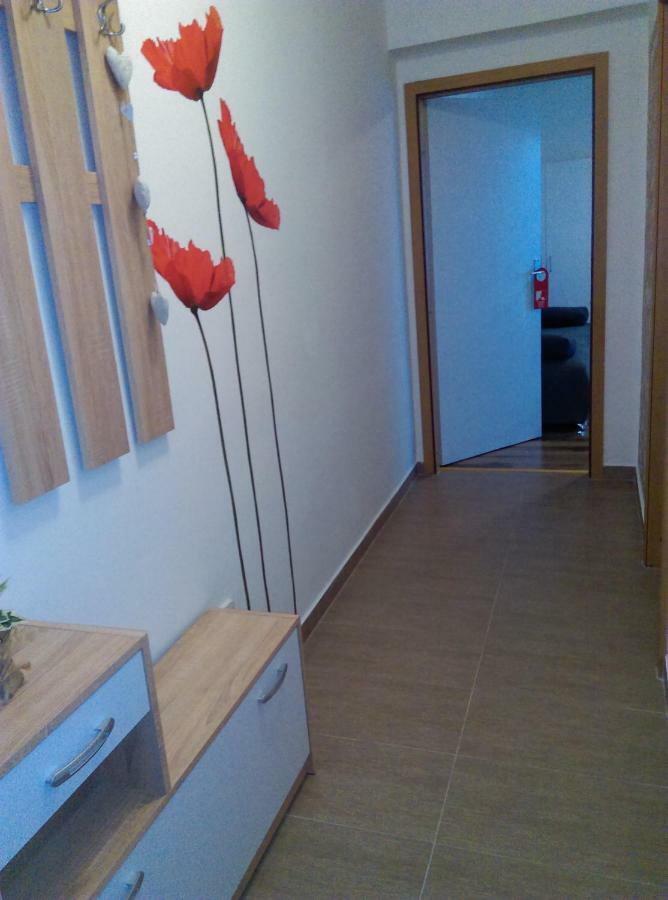Studio Apartman Zdral Daruvár Kültér fotó