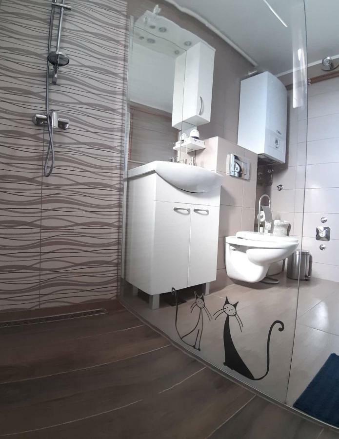 Studio Apartman Zdral Daruvár Kültér fotó