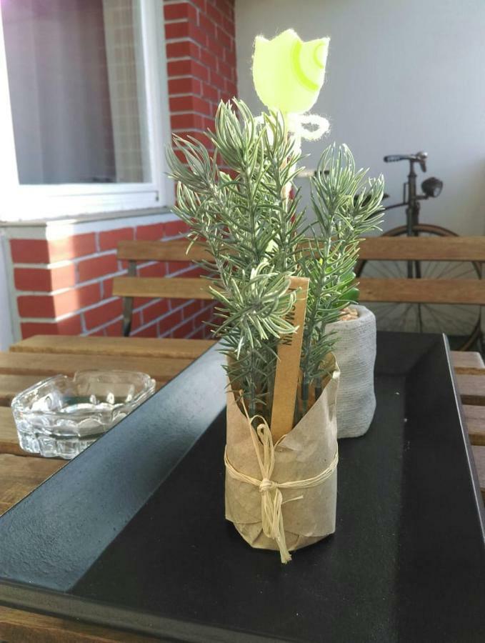 Studio Apartman Zdral Daruvár Kültér fotó