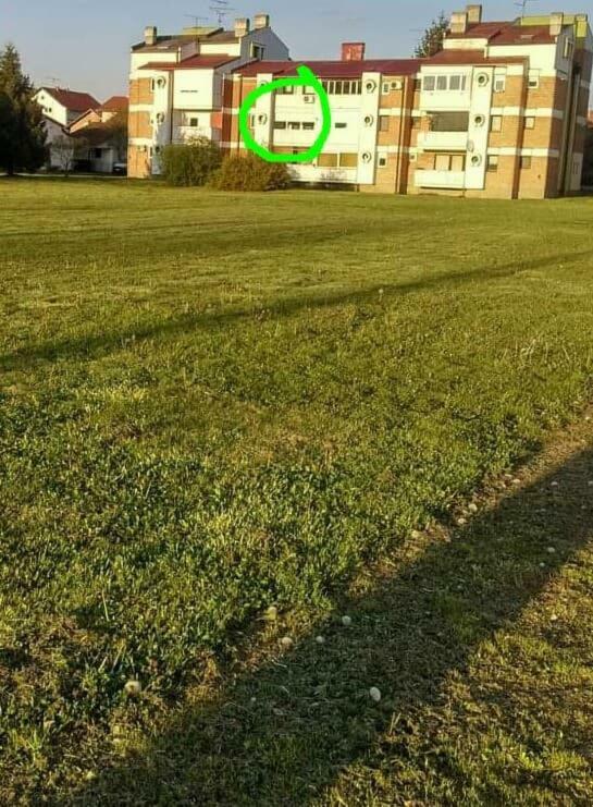 Studio Apartman Zdral Daruvár Kültér fotó